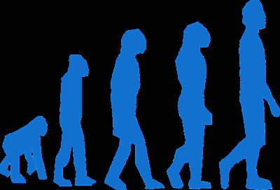 evolution, monkey, man